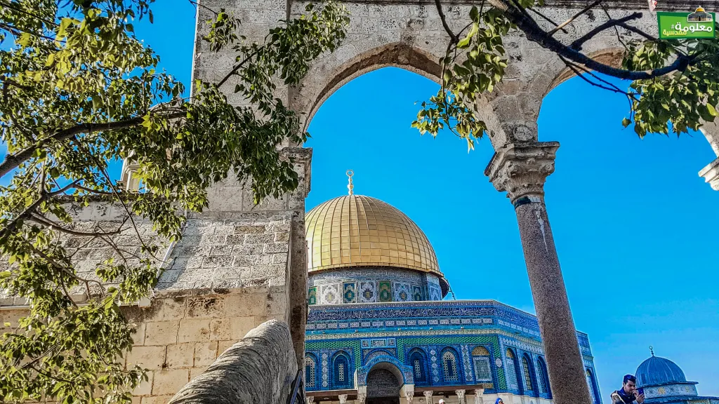The Southern Arches