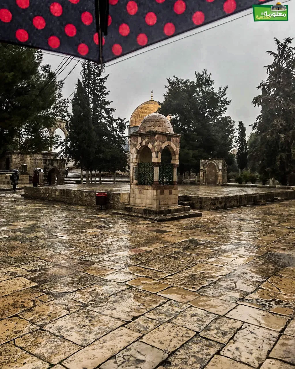 سبيل الشيخ البديري