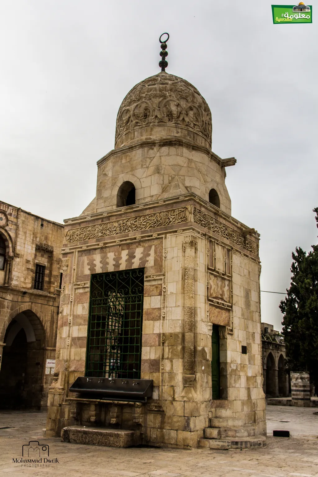 Qayt Bay spring