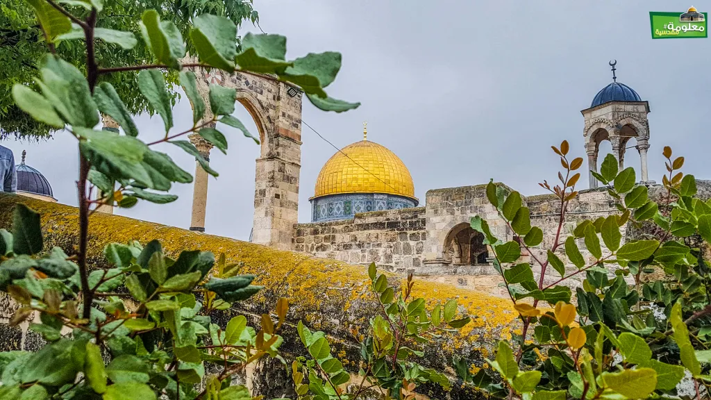 Al Kheder Dome
