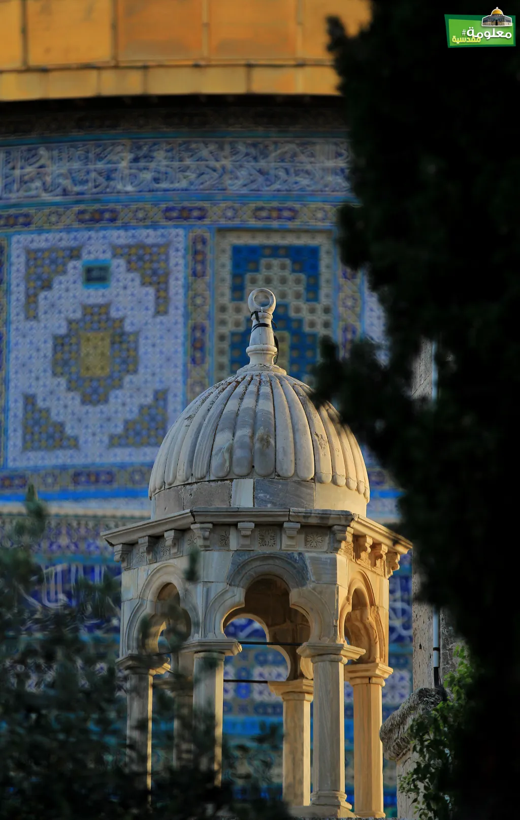 The Balance Dome