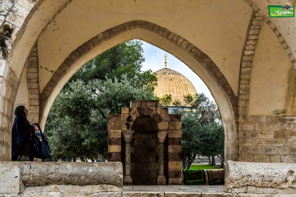 قبة عشاق النبي