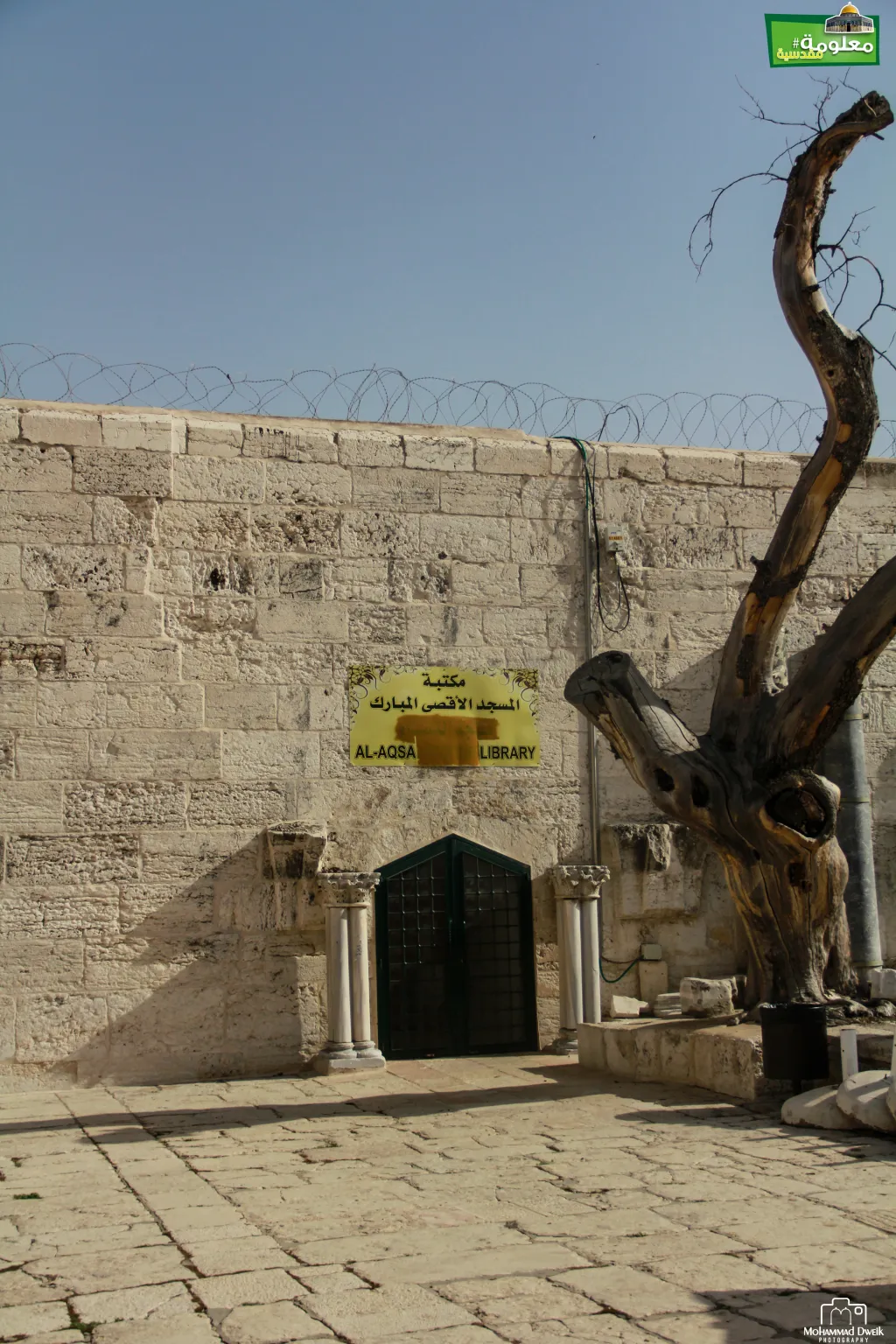 Women's Mosque / Museum / Library