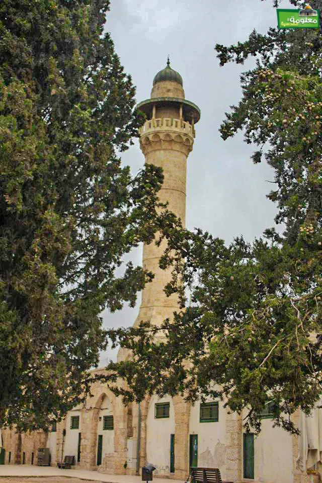 مئذنة باب الأسباط 