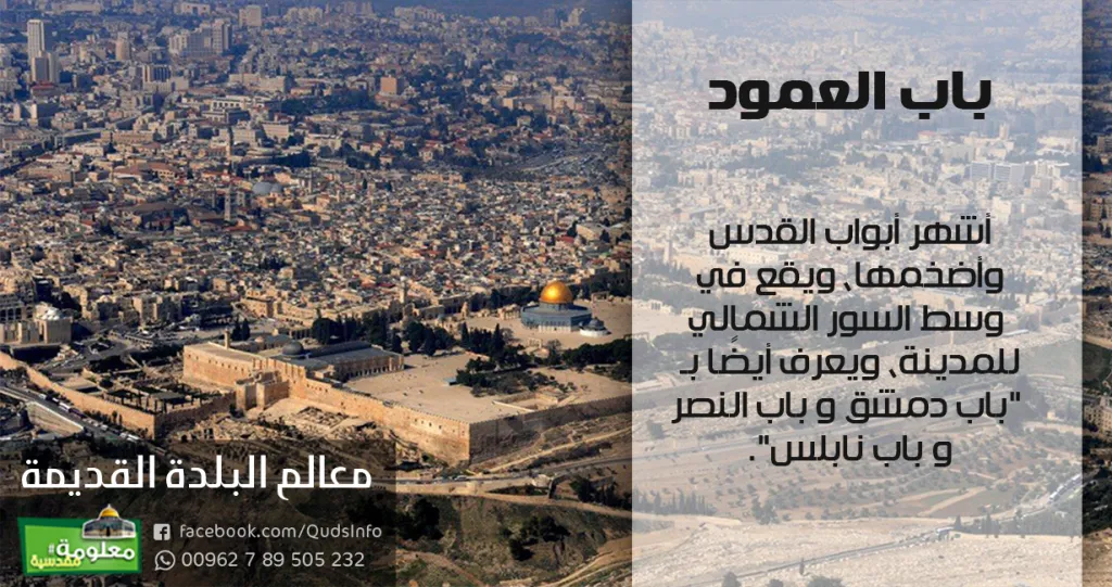 باب العمود