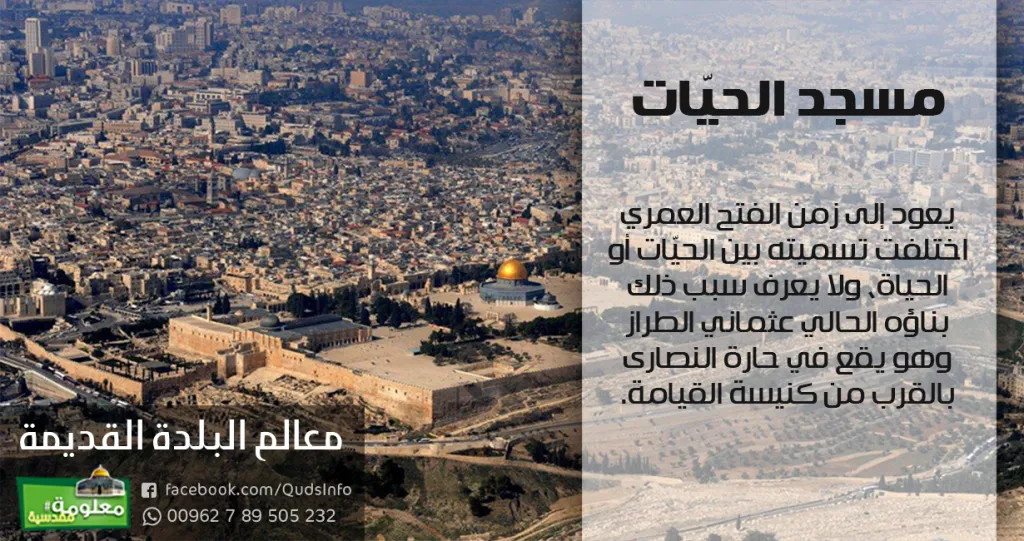 مسجد الحيّات
