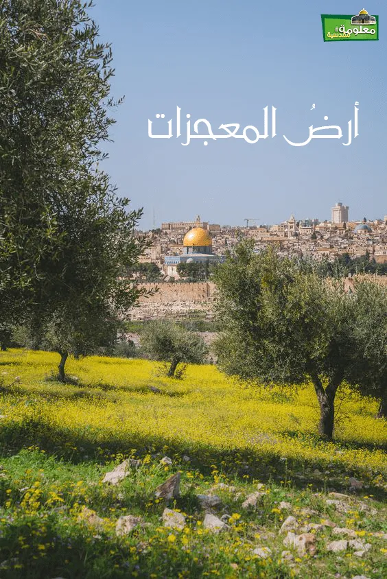 أرض المعجزات
