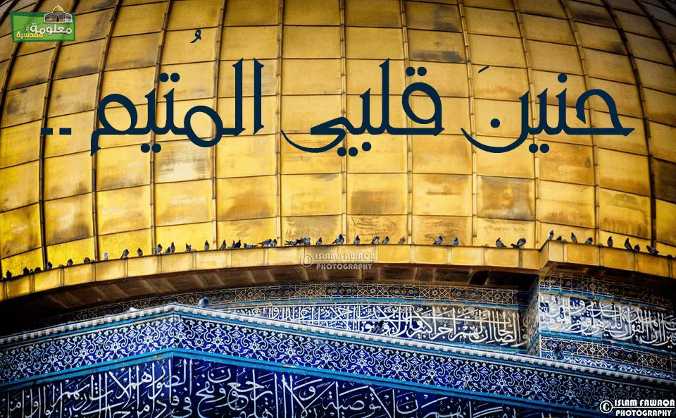 ضجيج روحي التواقة