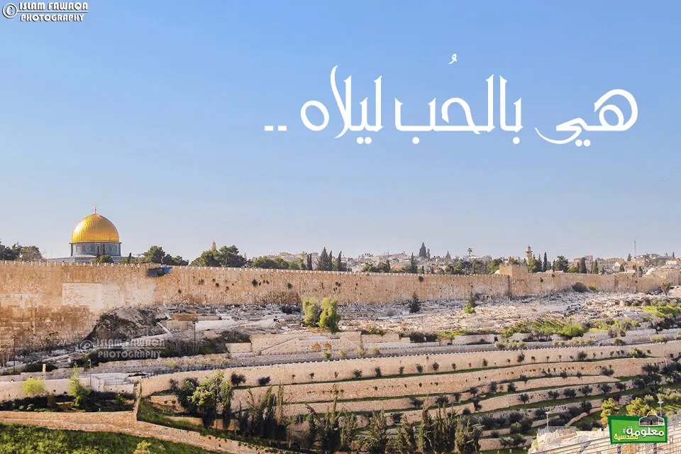 كالعاشقين متيم هو بها