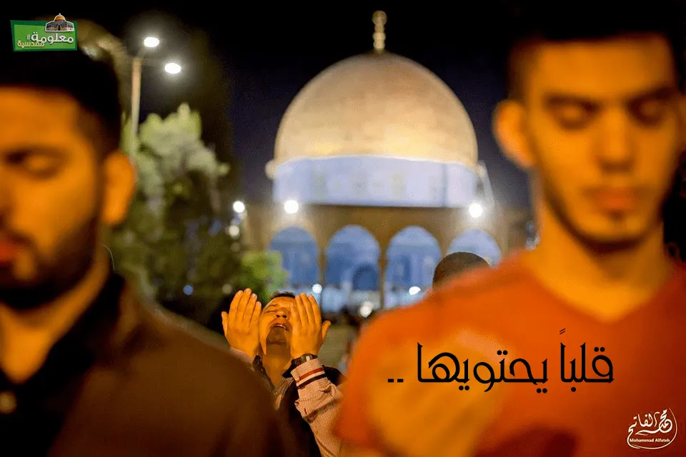 قلباً يحتويها
