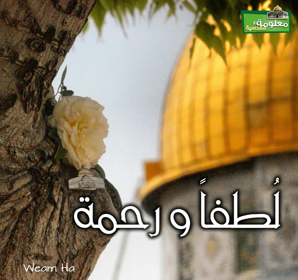 لطفاً ورحمة