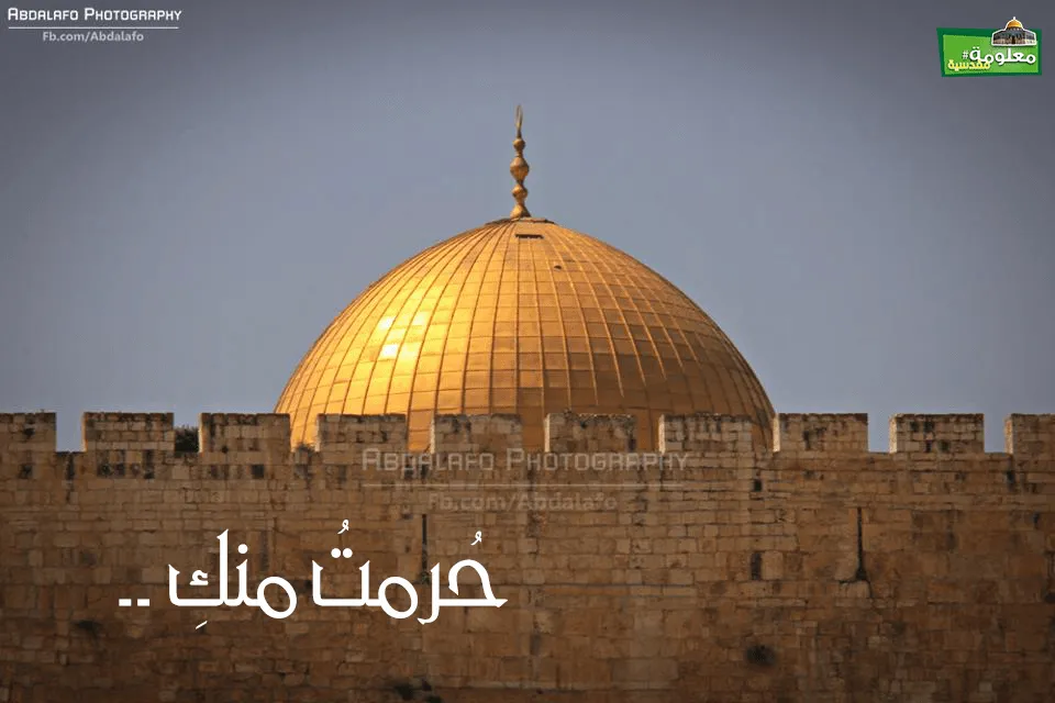 حُرمت منك
