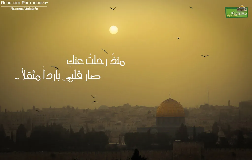 منذ رحلت عنك