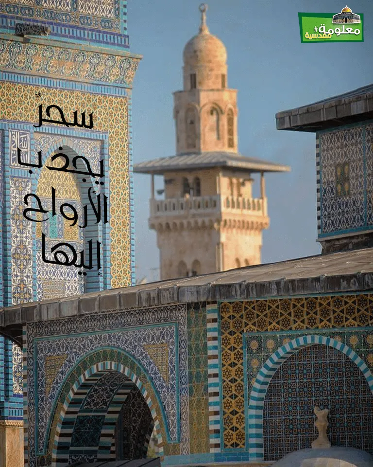 وفي كل مئذنة سحر يجذب الأرواح