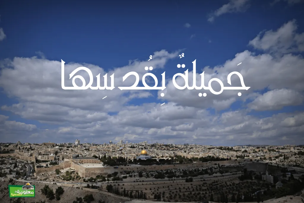 جميلة بقدسها