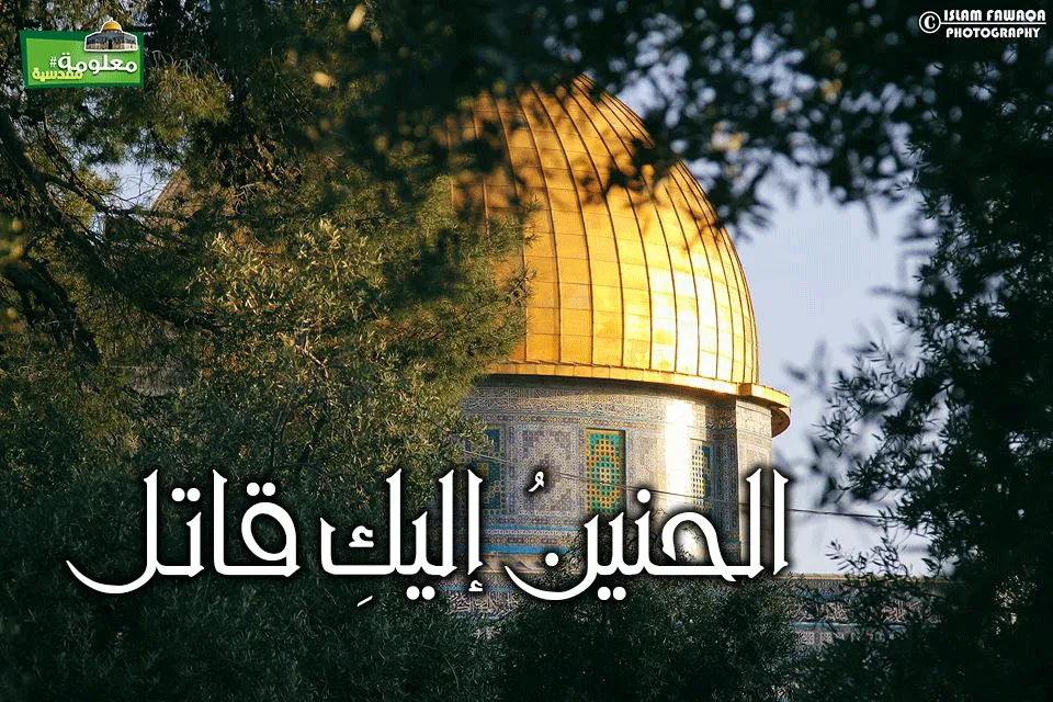الحنين إليك قاتل