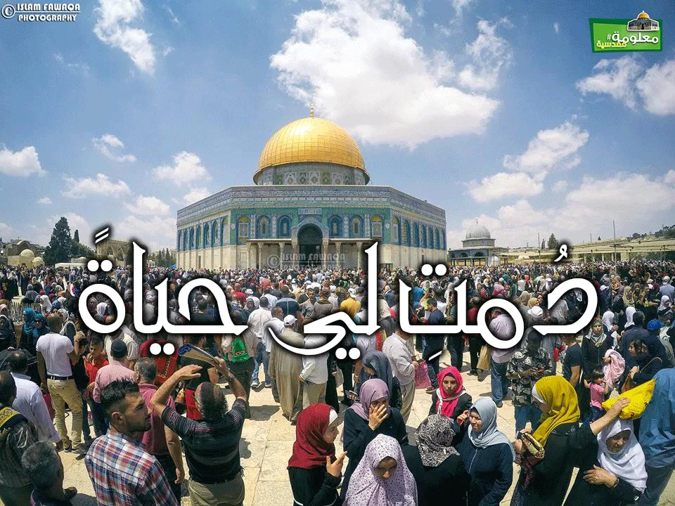 دمتِ لي حياةً