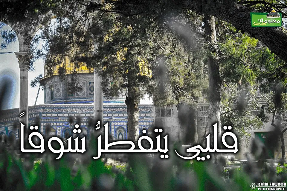 قَلبي يَتَفَطَرُ شوقاً