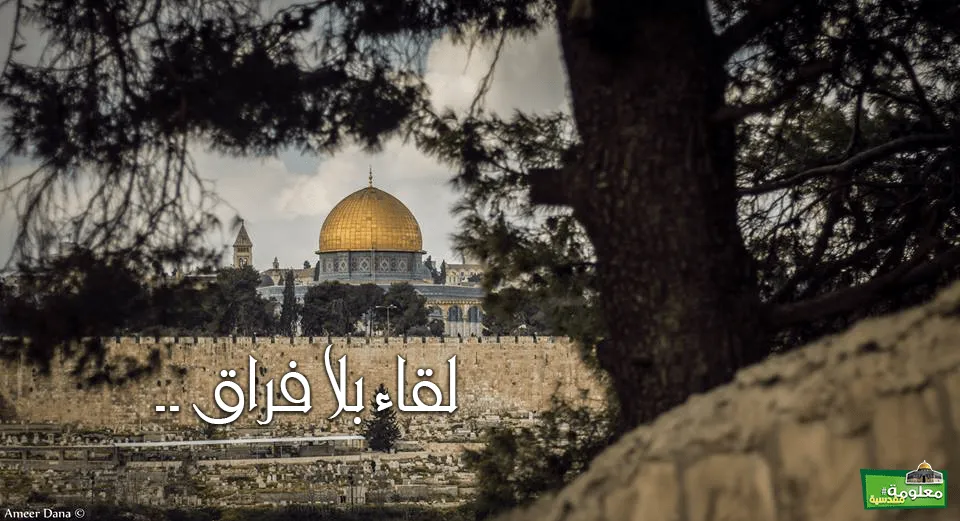 لقاء بلا فراق