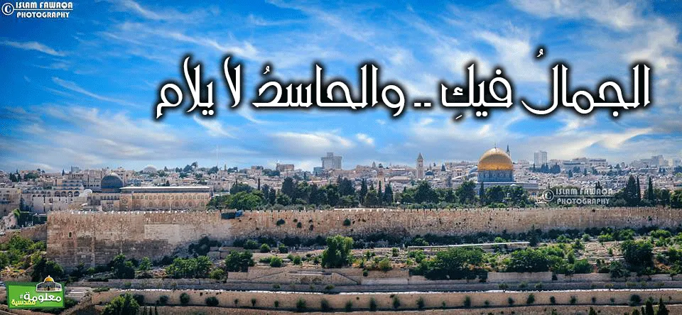الجمالَ فيكِ وَ الحاسِدُ لا يُلام