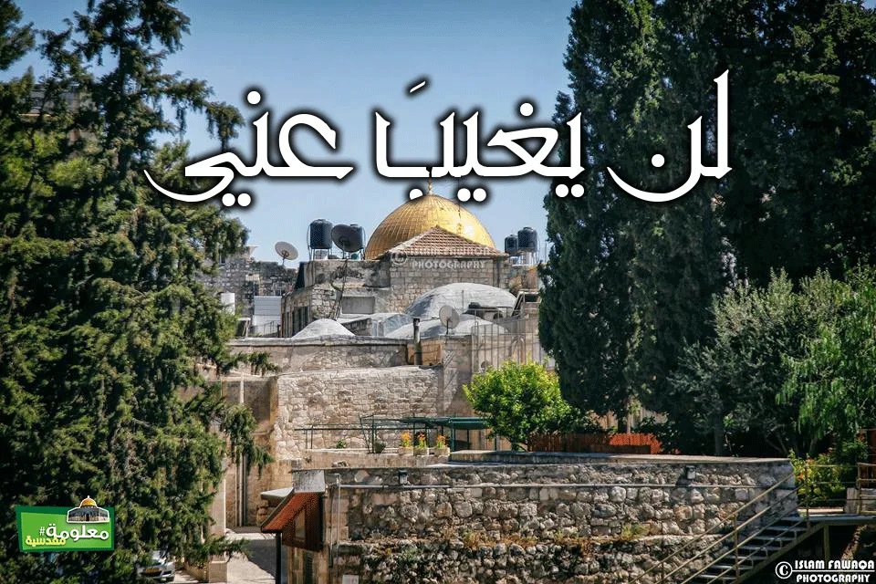 لن يُغَيَّبَ عني