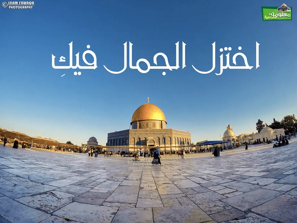 اختزل الجمال فيكِ