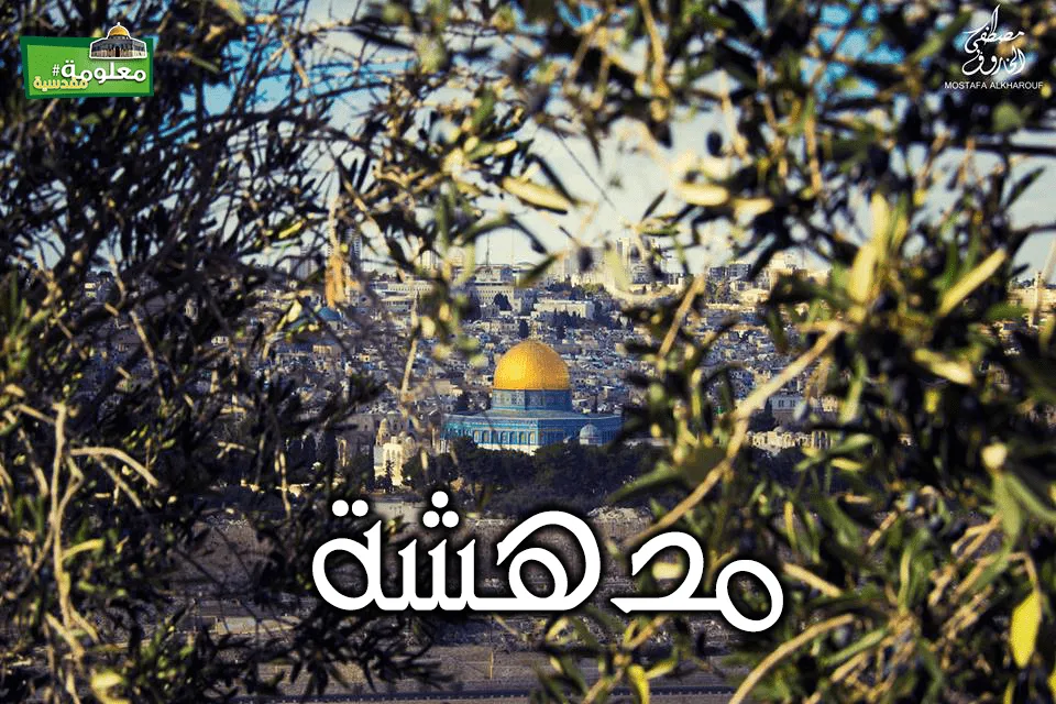 مدهشة