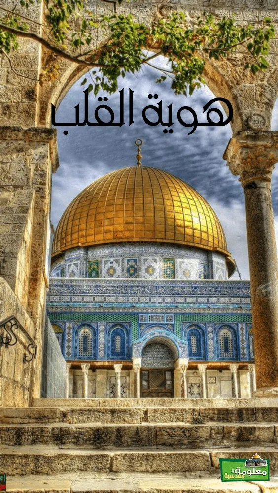 هُوية القلب