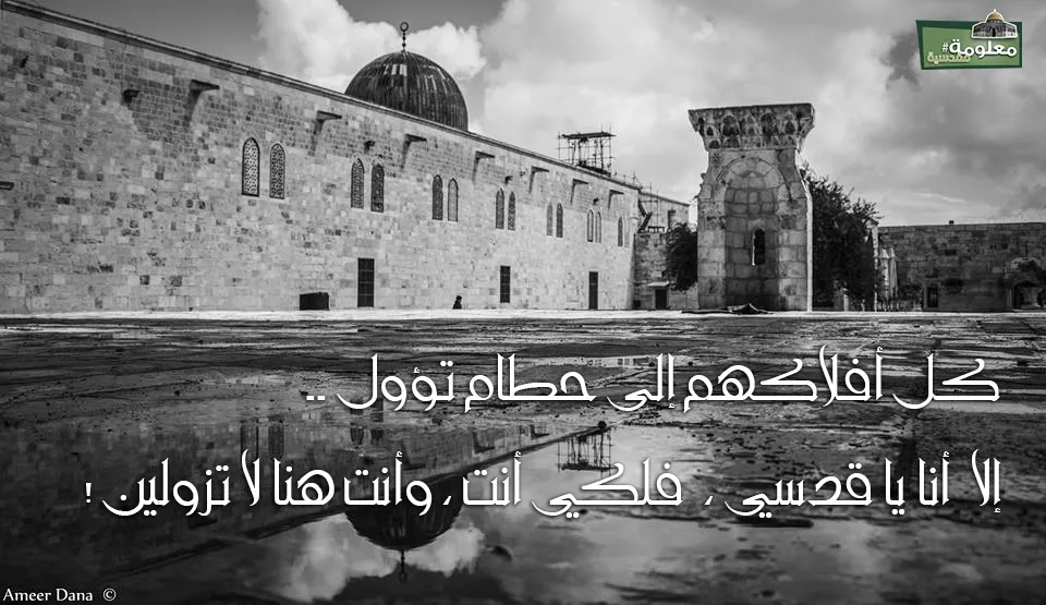 فلكي أنت