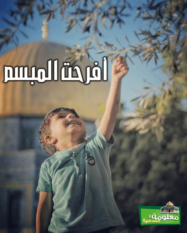 أفرحت المبسم