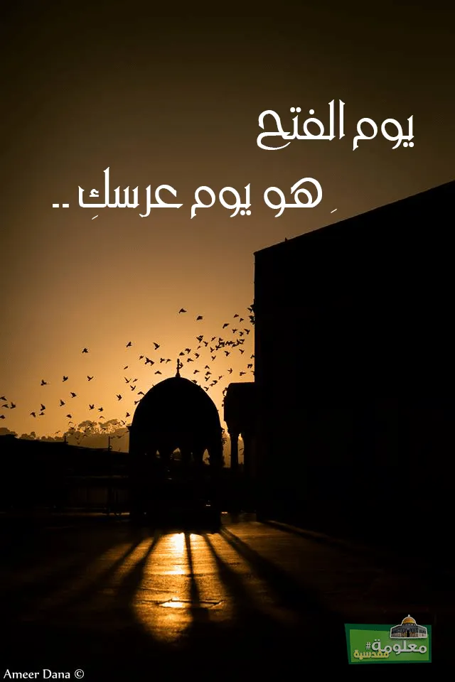 يوم الفتح هو يوم عرسك