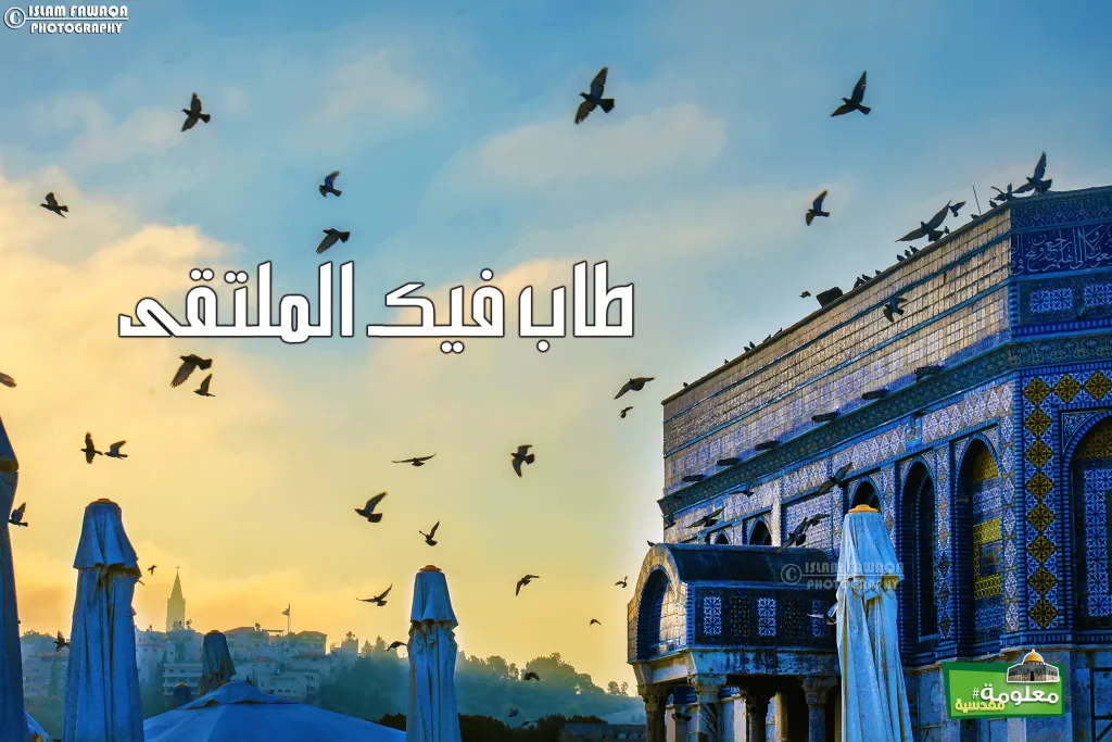 طاب فيكِ الملتقى