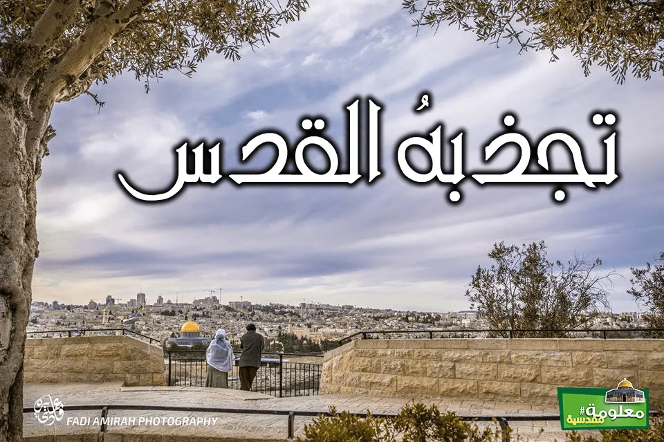 تجذبه القدس