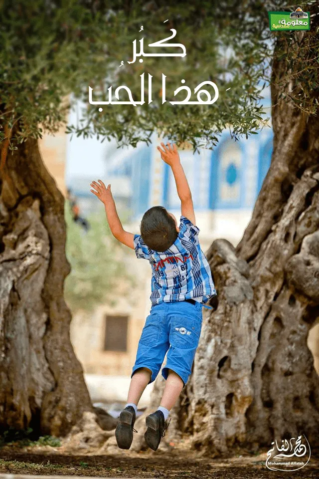 كَبُر هذا الحب