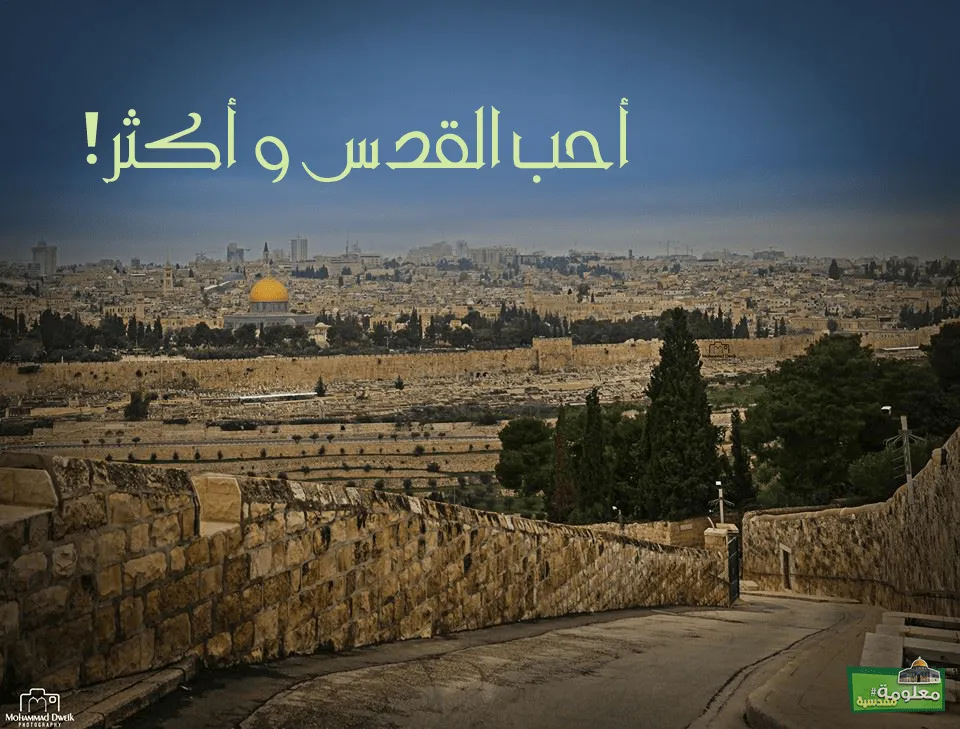 أحب القدس وأكثر
