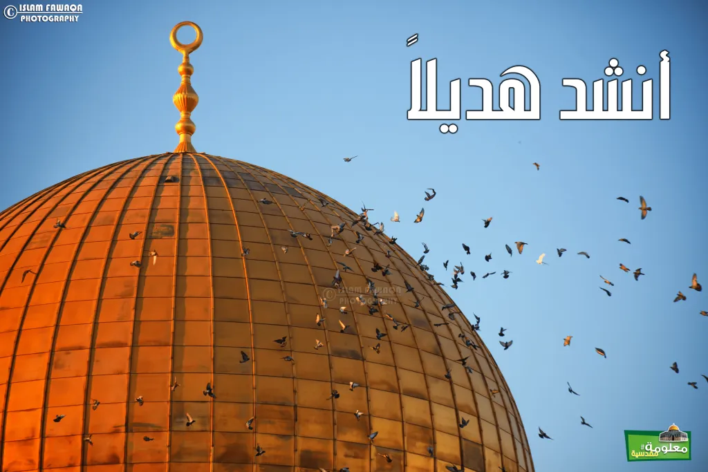 أنشد هديلا ً