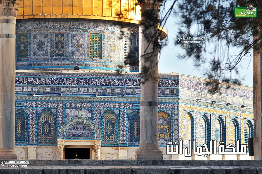 ملكة الجمال أنت