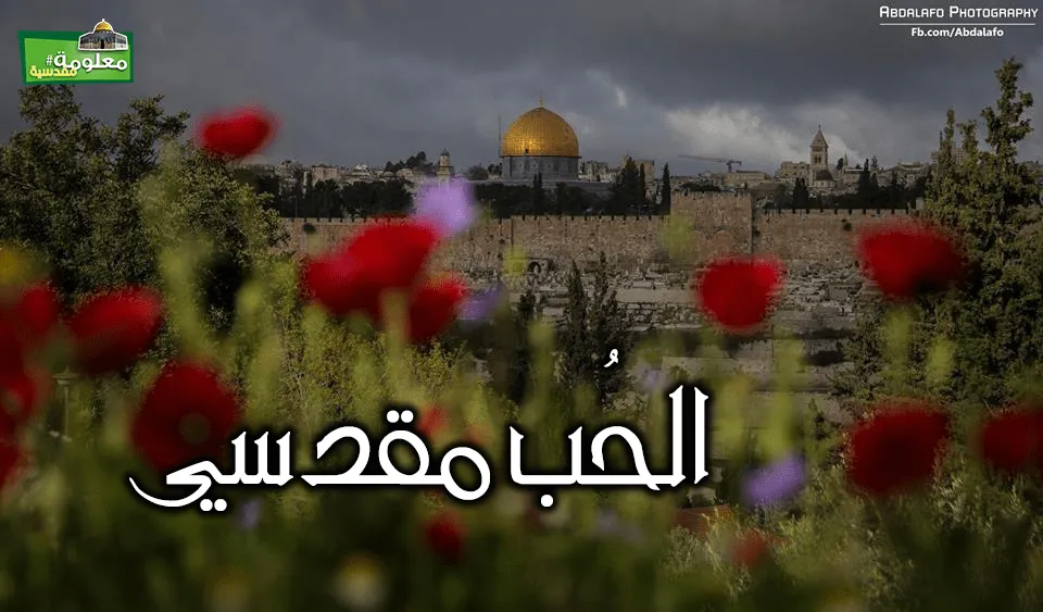 الحُب مقدسيّ