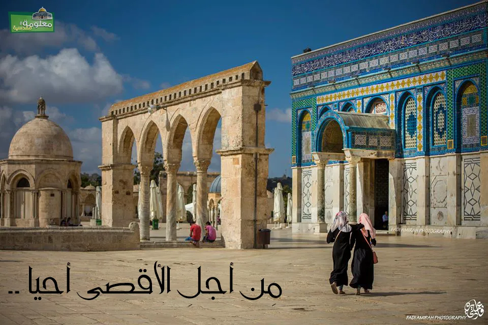 أرّتب أوراقي