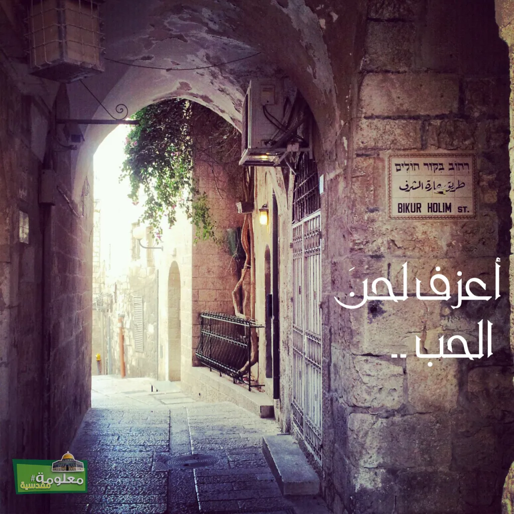 على أوتار شوقي