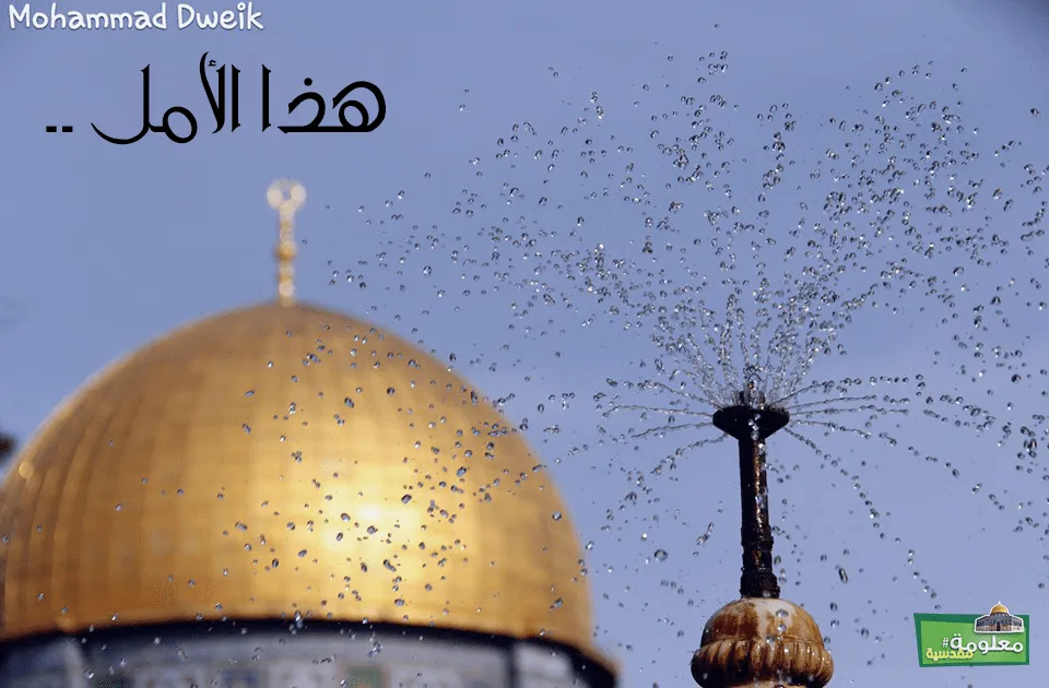 هذا الأمل