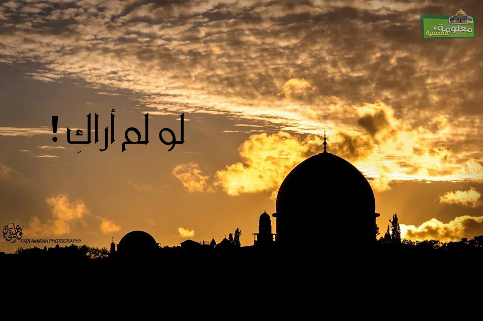 لو لم أرَكِ