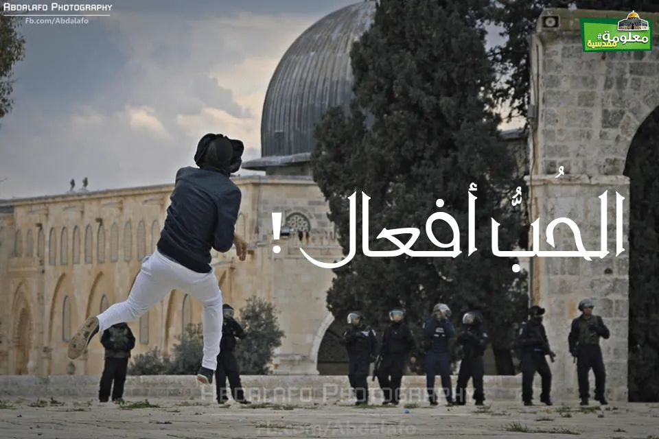 حين تحب مسجدك المبارك