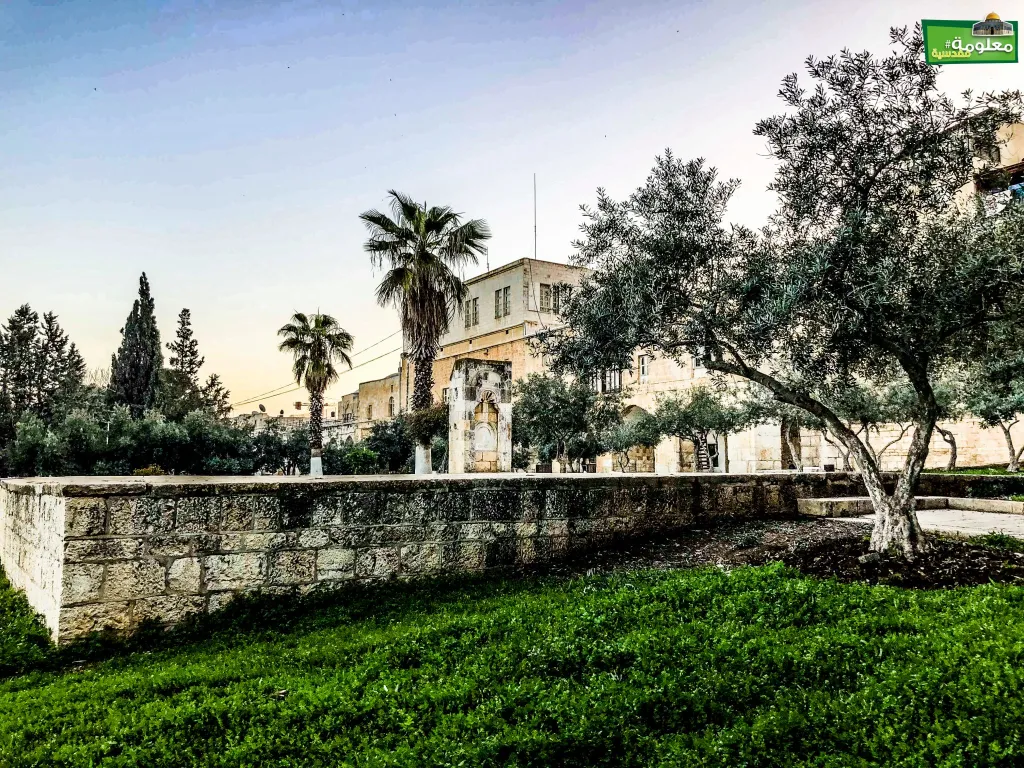 مصطبة الظاهر