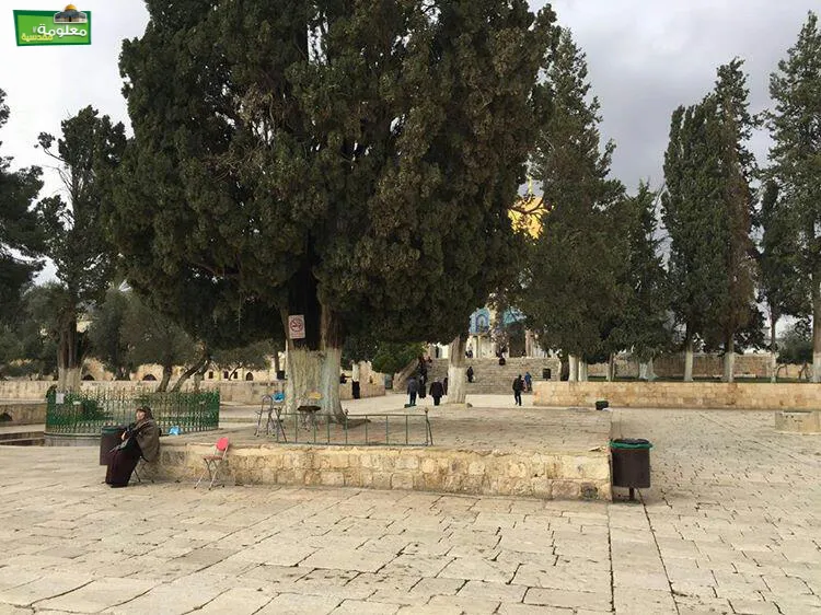 Al-kaas terrace, the eastern side of Al-Kaas terrace