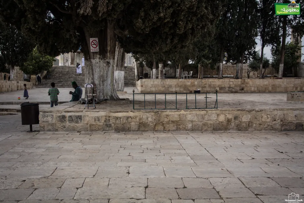 Al-kaas terrace, the eastern side of Al-Kaas terrace