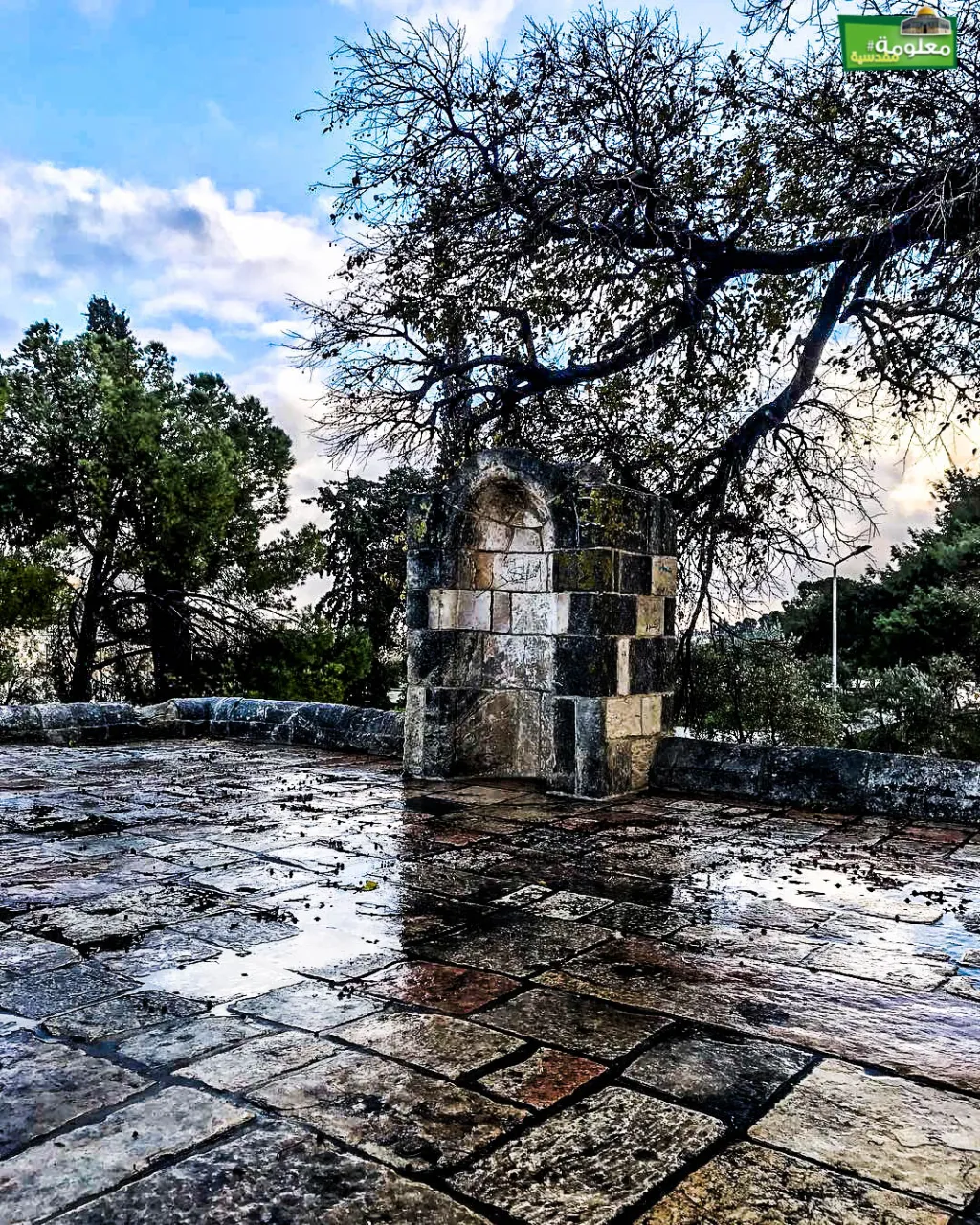 Al-Karak Terrace