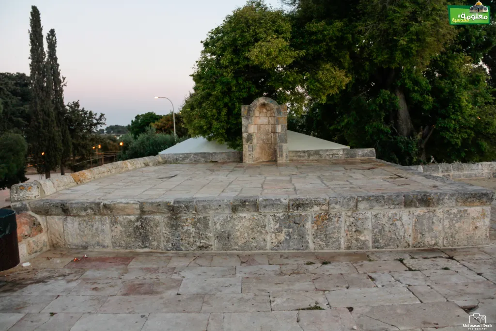 Al-Karak Terrace