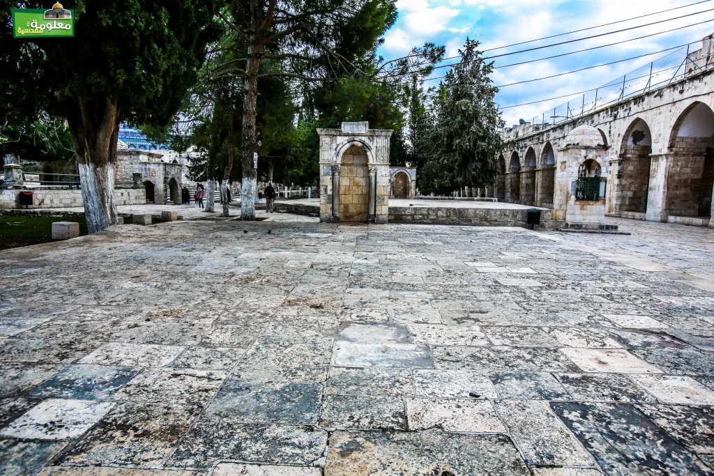 Ala’a Al-Din Al- Basairi  Terrace \ Al-Basiri terrace \ Jarkas terrace
