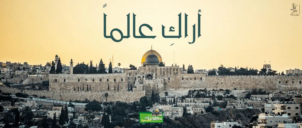 أراكِ عالماً